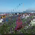 Phakphon Lunchaipa profile icon