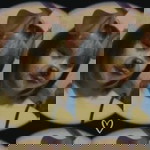 Jinjutha Prommet profile icon