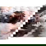 Ip Pakpinya profile icon