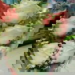 Kiki Martina profile icon