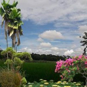 Ririn Husni profile icon