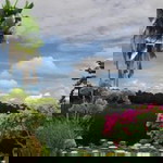 Ririn Husni profile icon