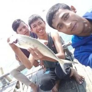 Ridho Airrangga profile icon