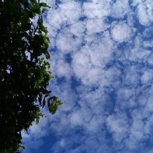 marda wati profile icon