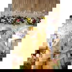 Fiaa Bullkaf profile icon