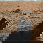 Illiyina Adnin profile icon