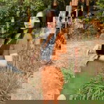 ใบ เฟิร์น profile icon