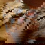 Vinoo Ganesan profile icon