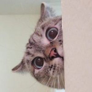 Rich Rich profile icon