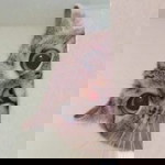 Rich Rich profile icon