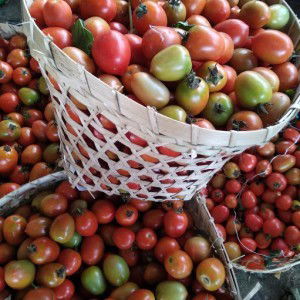 endar wulan profile icon