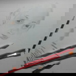 Suko Hatiden profile icon