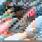 Maria Sevilla Barrios profile icon