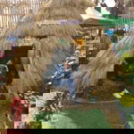 Or-ae Areerat Kambaisre profile icon