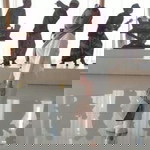 Pelangi Dyahwuri Intan P profile icon