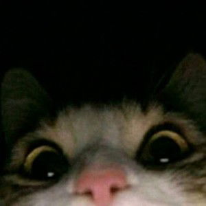 Indria Masita profile icon