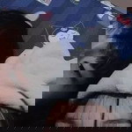 ปัญจมา ฯ. profile icon