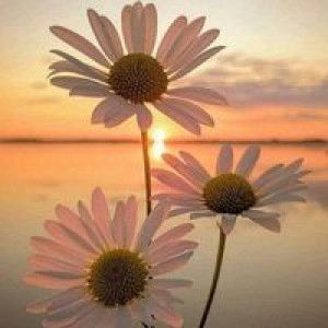 Teteh Rosminie profile icon