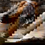 Captain Hook profile icon