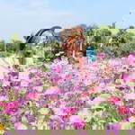 จิระนันท์ สินธรธนะพงศ์ profile icon