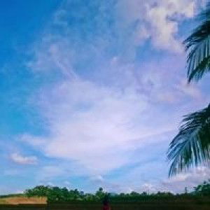 Bungsu Tunggal profile icon