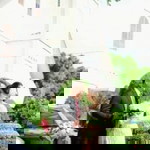 Diori Napitupulu profile icon