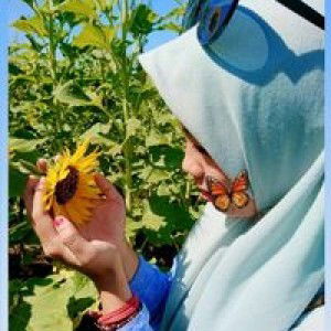 Nupyia Al-Ghania profile icon