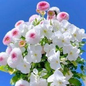 Maryjean Tecson Valenzuela profile icon