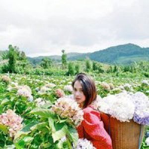 Looktao ไฮ โร profile icon