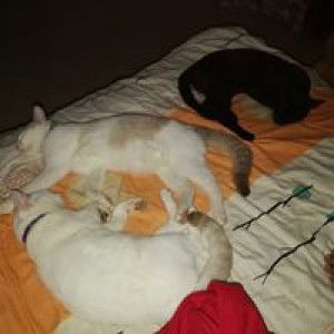 Mil Ky Dee profile icon