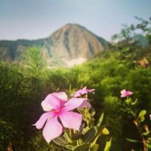 Navikhatns profile icon