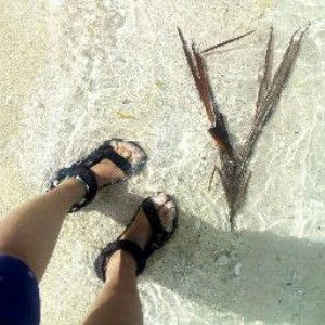 Julie B profile icon