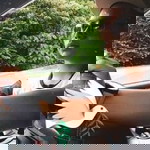 Nurul Aina profile icon