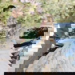 Queen's Story profile icon