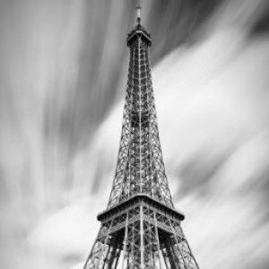 Ayu Lestari profile icon