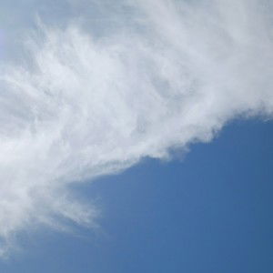 Salwa Azmi profile icon