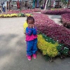 Dewi Ibue Zulfa profile icon