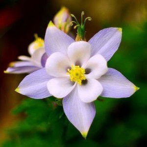 Aza Jaiza Mohamad profile icon