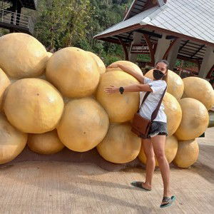 Bead Bead profile icon