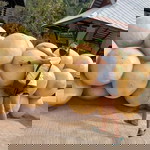 Bead Bead profile icon