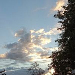 กุลกิติกร แสนบรรดิษฐ profile icon