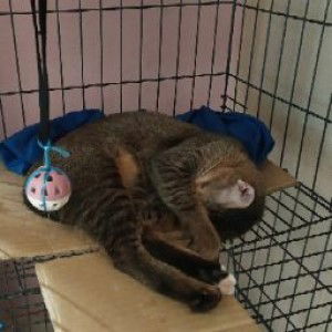 new future mom profile icon