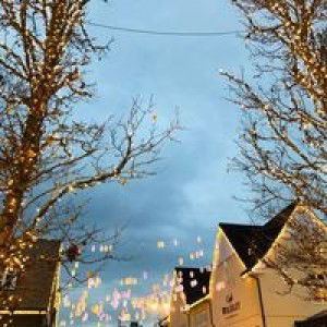 Maya Sari profile icon