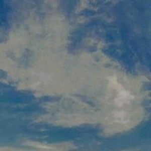 Angun Angun profile icon