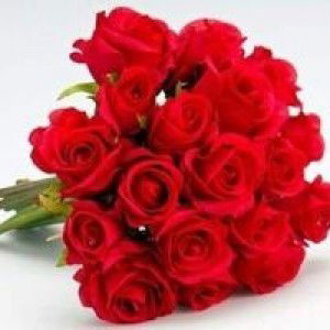 Faten Yasmin profile icon