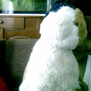 danny aisya profile icon