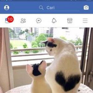 Ambar eza profile icon