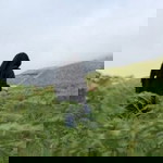 Irwina Lutfita profile icon