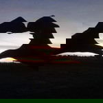 อาลิษา บุญประเสริฐ profile icon