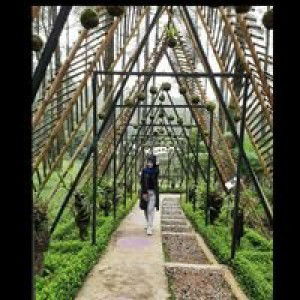 Fia Shelfia profile icon